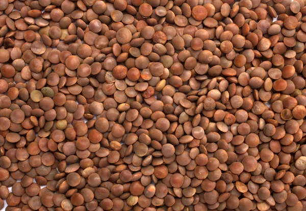 Brown Lentils (lens culinaris) — Stock Photo, Image
