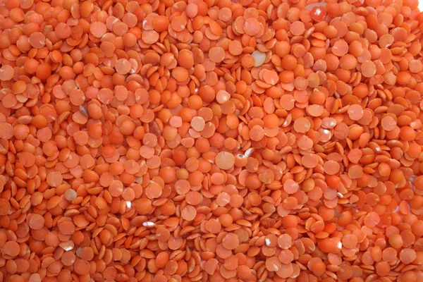 Red Lentils (lens culinaris) — Stock Photo, Image