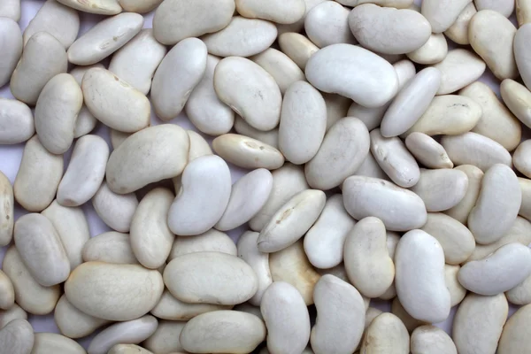 White beans — Stock Photo, Image