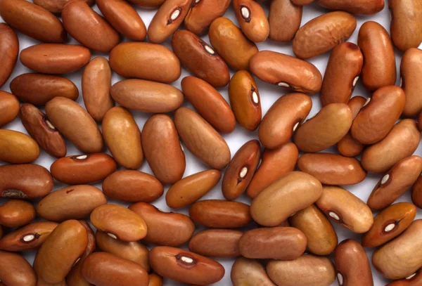 Brown beans — Stock Photo, Image