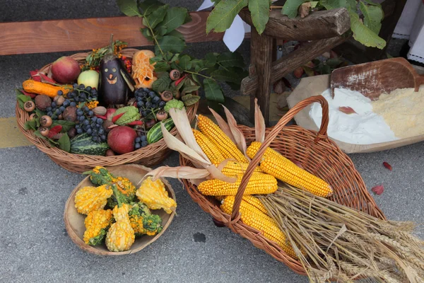 Cosecha de otoño — Foto de Stock