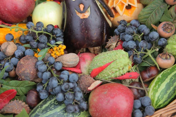 Autumn Harvest — Stock Photo, Image