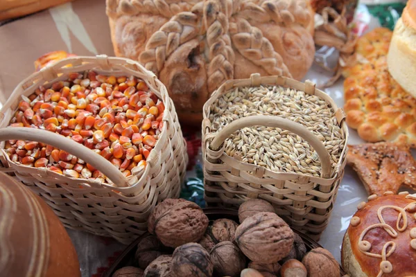 Basket with wheat and maize — Stock Photo, Image