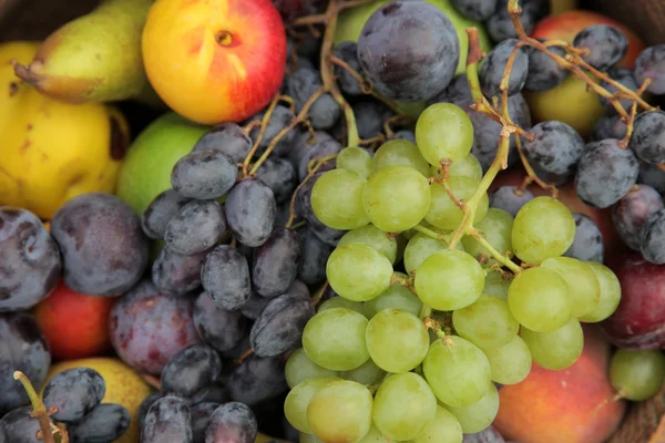Ripe apples and bunch of grapes — Stock Photo, Image