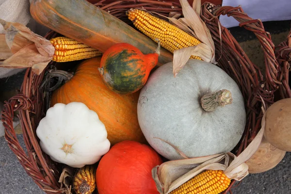 Herfst oogst — Stockfoto