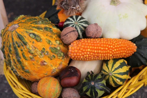 Raccolta autunnale — Foto Stock