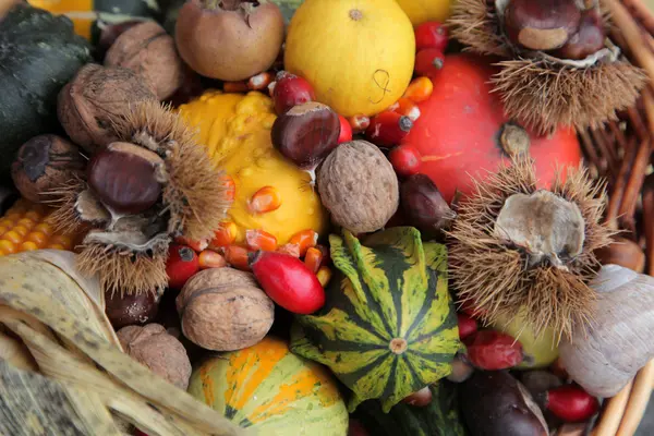 Cosecha de otoño — Foto de Stock