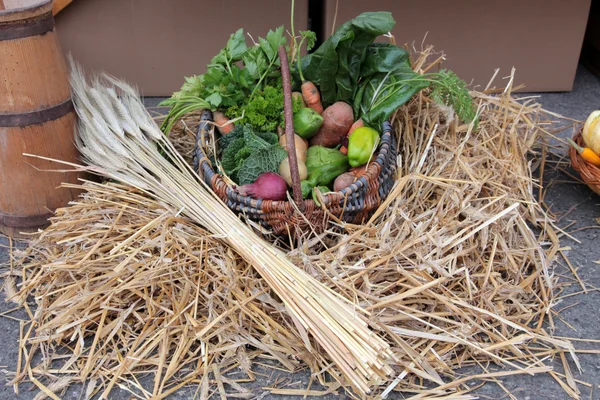 Autumn Harvest — Stock Photo, Image