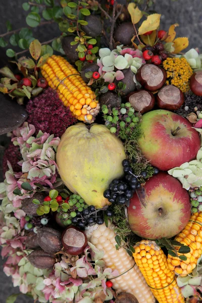 Autumn Harvest — Stock Photo, Image