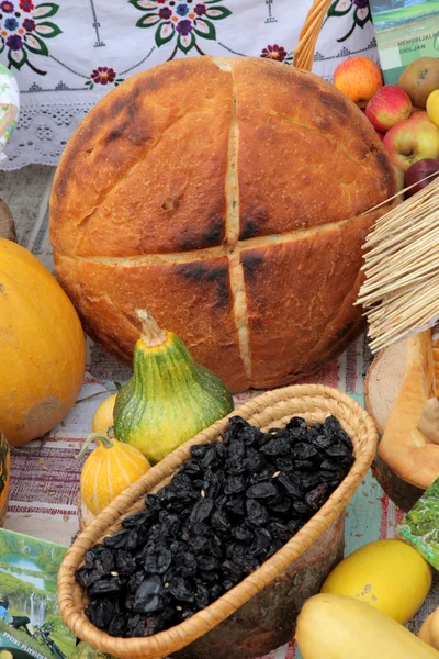 Autumn Harvest — Stock Photo, Image