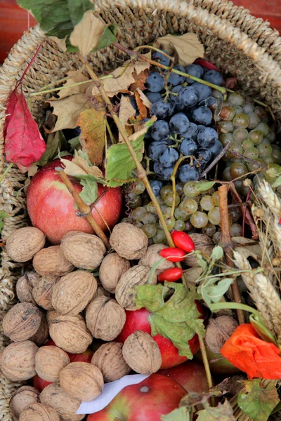 Colheita de outono — Fotografia de Stock