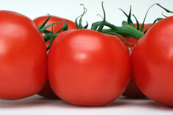 Tomate — Fotografia de Stock