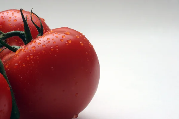 Tomato — Stock Photo, Image