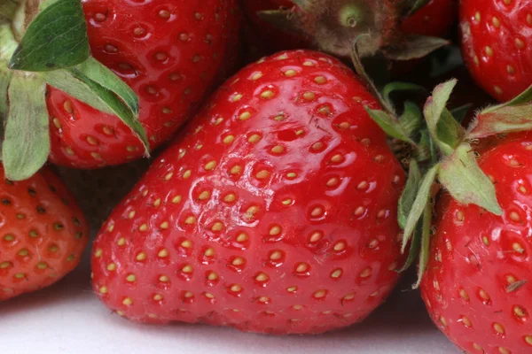 Frische Erdbeeren — Stockfoto