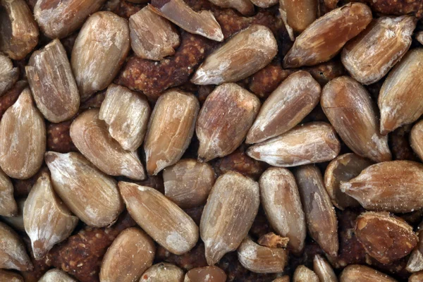 Pan marrón semillas de girasol textura —  Fotos de Stock