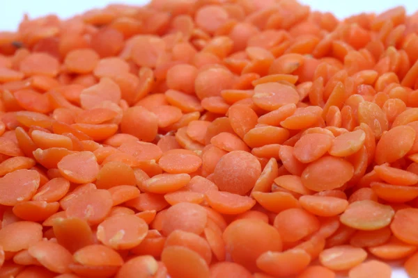 赤レンズ豆 — ストック写真
