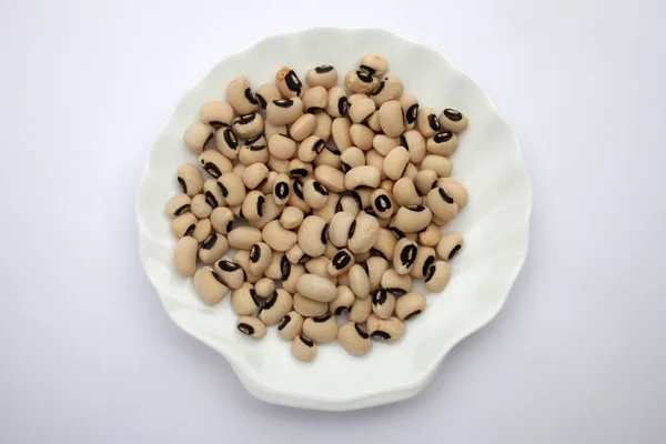 White beans — Stock Photo, Image