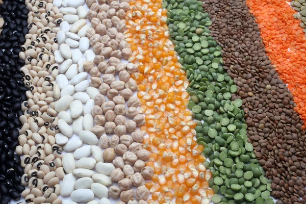 씨앗 및 곡물 — 스톡 사진