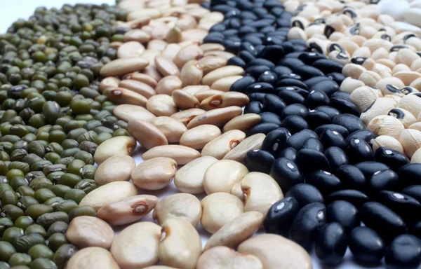 様々 な豆 — ストック写真