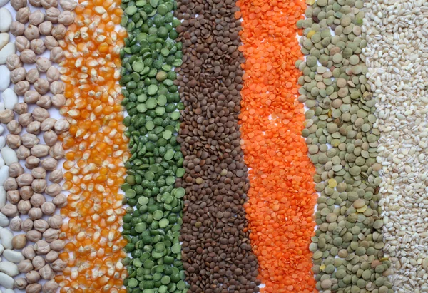 Seeds and grains — Stock Photo, Image