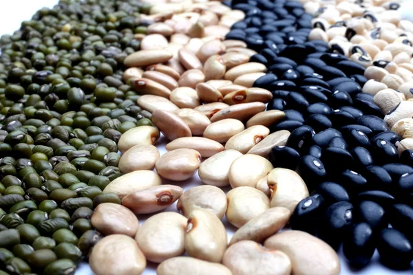 Various beans — Stock Photo, Image