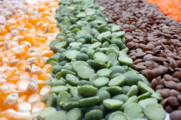 다양 한 씨앗과 렌즈콩 — 스톡 사진