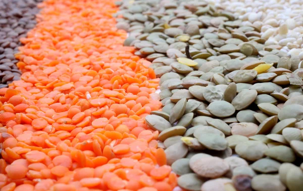 Várias lentilhas — Fotografia de Stock