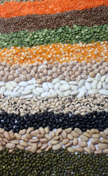 Sementes e grãos — Fotografia de Stock