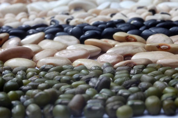 Various beans — Stock Photo, Image