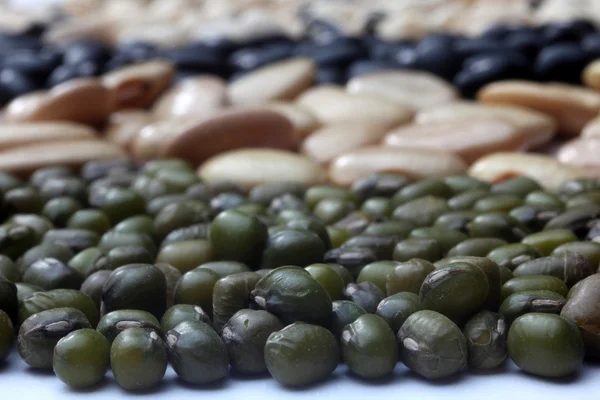 Various beans — Stock Photo, Image