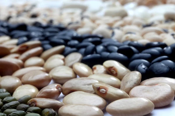 Various beans — Stock Photo, Image