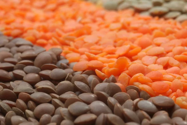 様々 なレンズ豆 — ストック写真