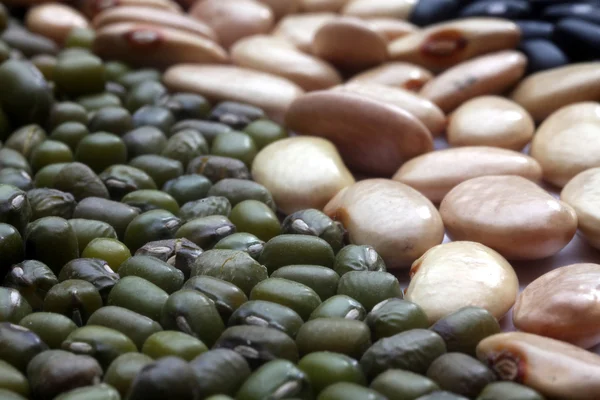 Various beans — Stock Photo, Image