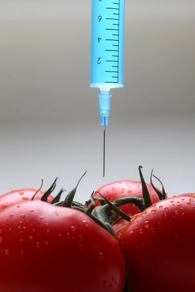 Injection into fresh red tomato — Stock Photo, Image