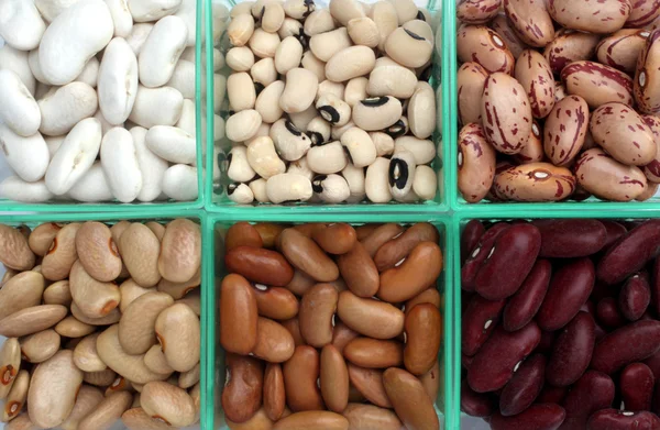 Various beans — Stock Photo, Image