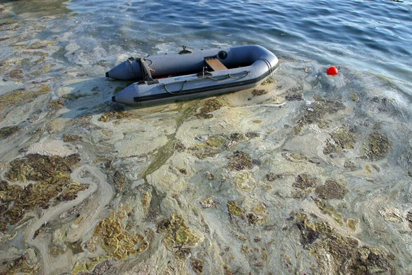Contaminated sea — Stock Photo, Image