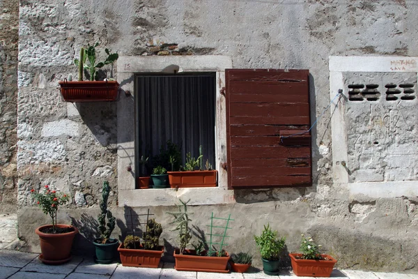 Vecchia casa con fiori — Foto Stock