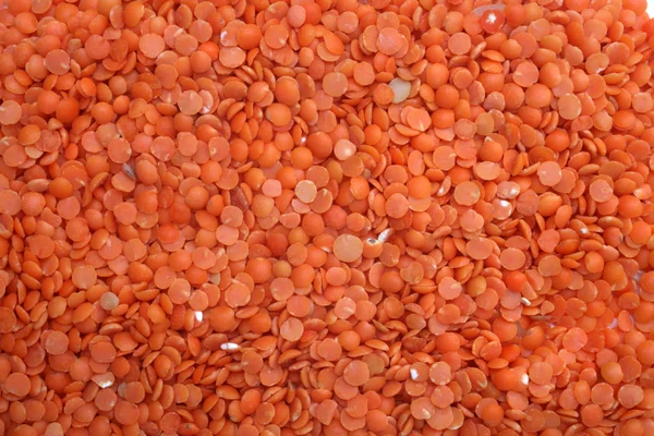 赤レンズ豆 (レンズの Culinaris) — ストック写真