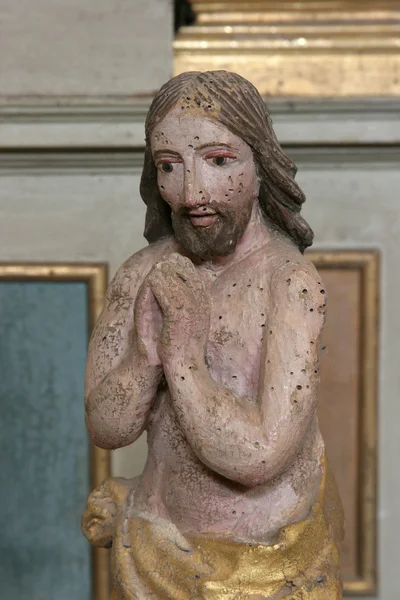 Gesù ferito — Foto Stock