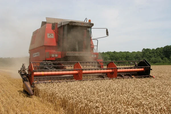 Combine harvesting wheat — Stock Photo, Image