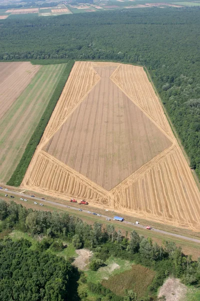 Vista aérea: Campo de trigo dorado — Foto de Stock