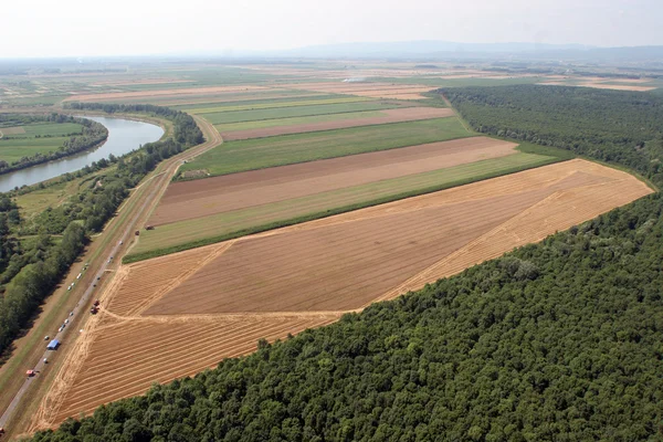 Vista aérea: Campo de trigo dorado — Foto de Stock