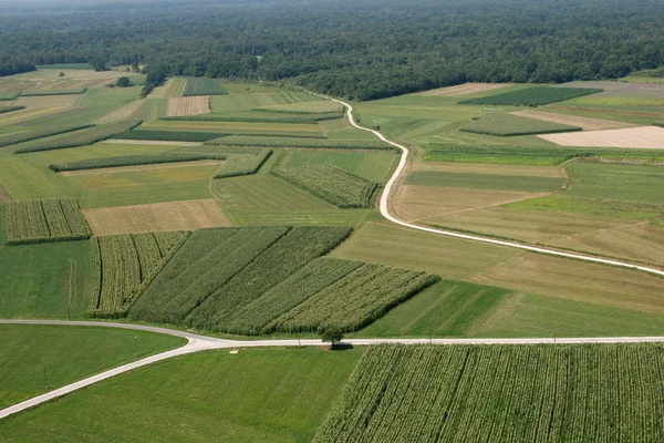 Wiesen und Felder — Stockfoto