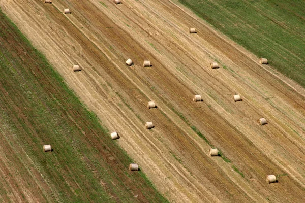 Vista aérea dos campos de colheita no verão — Fotografia de Stock