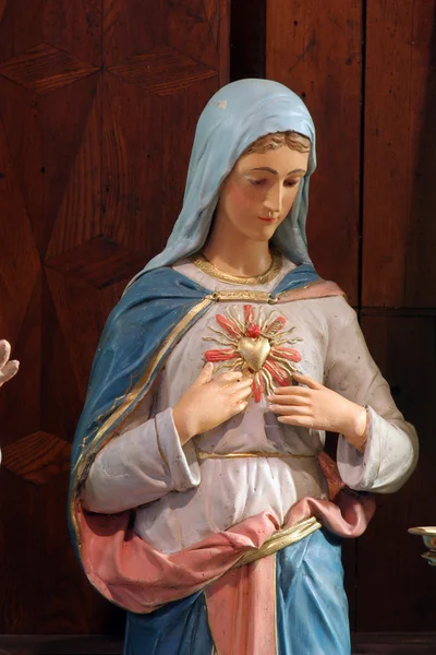 Meryem'in tertemiz kalbi — Stok fotoğraf