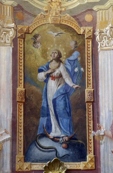 Пресвятая Дева Мария — стоковое фото