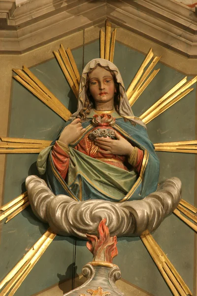 Непорочное сердце Марии — стоковое фото