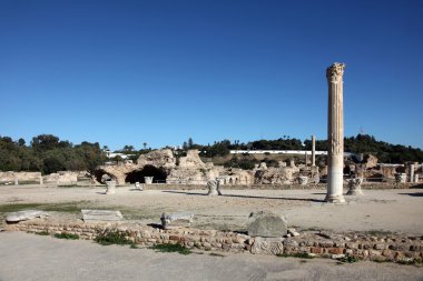 Tunus. Antik Kartaca. Antoninler banyoları
