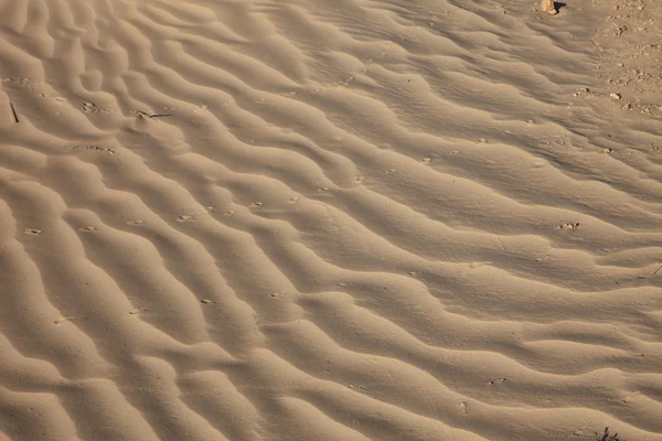 Texture del vento sulla sabbia nel Sahara — Foto Stock