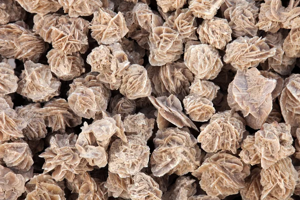Desert roses texture, close up — Stock Photo, Image